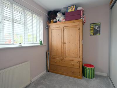 Picture 13